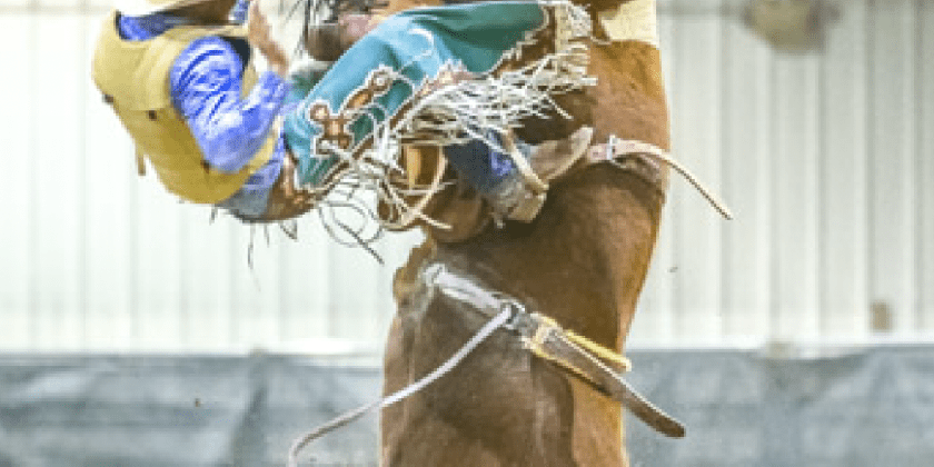 5 Rodeo Photography Tips for Professional Looking Pics!